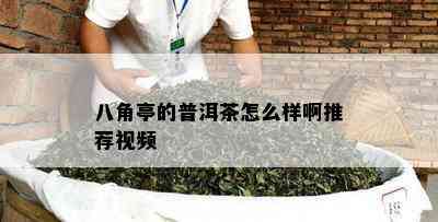 八角亭的普洱茶怎么样啊推荐视频