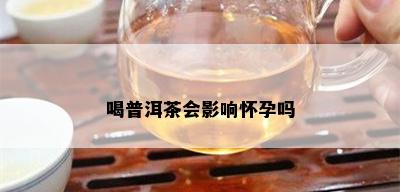 喝普洱茶会影响怀孕吗