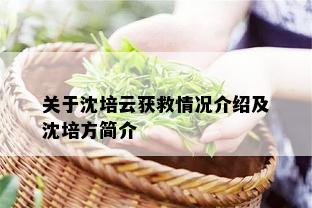 关于沈培云获救情况介绍及沈培方简介