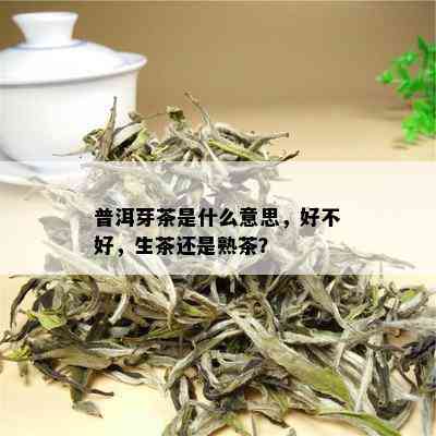 普洱芽茶是什么意思，好不好，生茶还是熟茶？