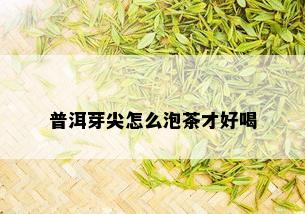 普洱芽尖怎么泡茶才好喝