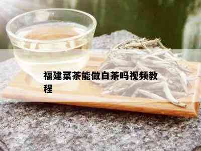 福建菜茶能做白茶吗视频教程