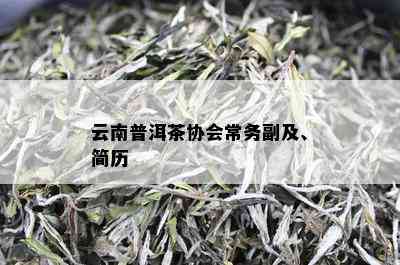 云南普洱茶协会常务副及、简历