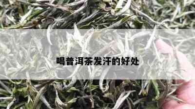 喝普洱茶发汗的好处