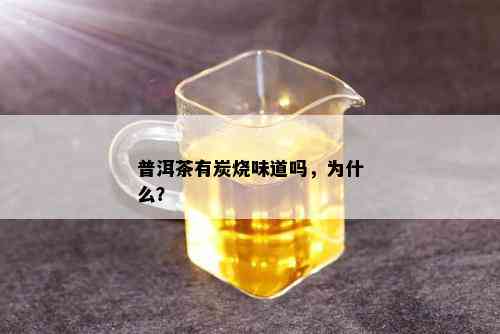 普洱茶有炭烧味道吗，为什么？