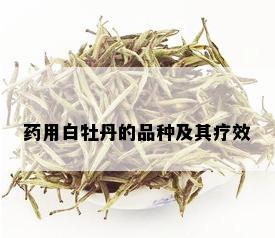 药用白牡丹的品种及其疗效