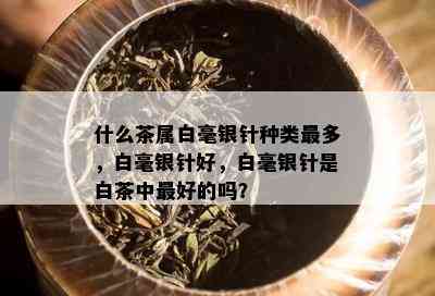 什么茶属白毫银针种类最多，白毫银针好，白毫银针是白茶中更好的吗？