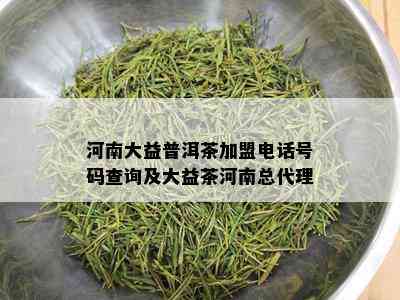 河南大益普洱茶加盟电话号码查询及大益茶河南总代理