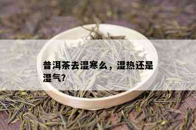 普洱茶去湿寒么，湿热还是湿气？