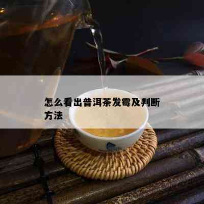 怎么看出普洱茶发霉及判断方法