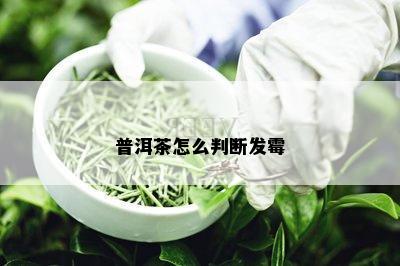 普洱茶怎么判断发霉