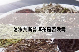 怎沫判断普洱茶是否发霉