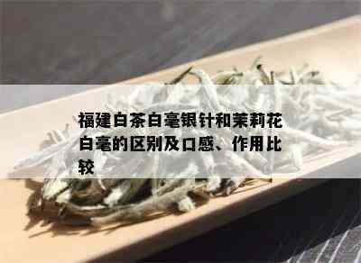 福建白茶白毫银针和茉莉花白毫的区别及口感、作用比较