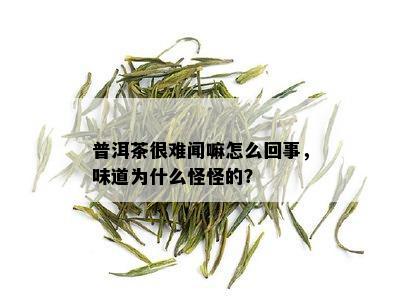 普洱茶很难闻嘛怎么回事，味道为什么怪怪的？