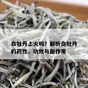 白牡丹上火吗？解析白牡丹的药性，功效与副作用