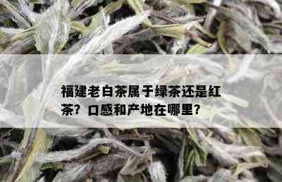 福建老白茶属于绿茶还是红茶？口感和产地在哪里？