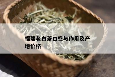 福建老白茶口感与作用及产地价格