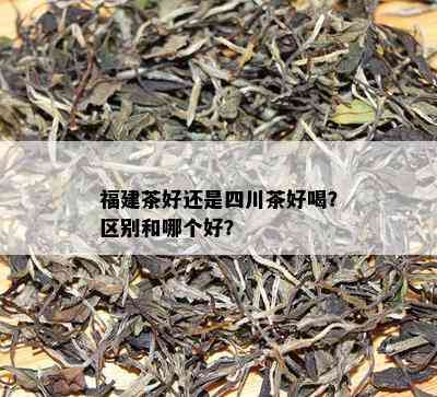 福建茶好还是四川茶好喝？区别和哪个好？