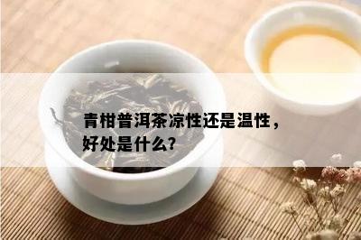 青柑普洱茶凉性还是温性，好处是什么？