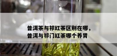 普洱茶与祁红茶区别在哪，普洱与祁门红茶哪个养胃