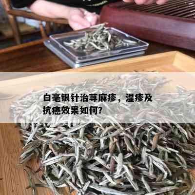 白毫银针治荨麻疹，湿疹及抗癌效果如何？