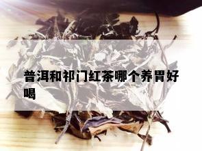 普洱和祁门红茶哪个养胃好喝