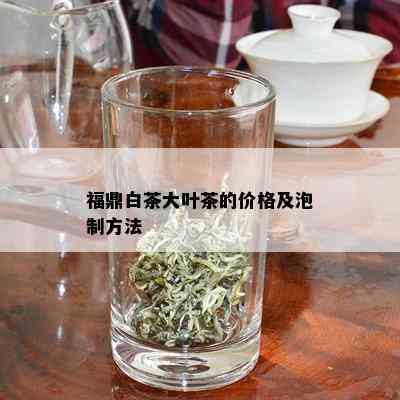 福鼎白茶大叶茶的价格及泡制方法