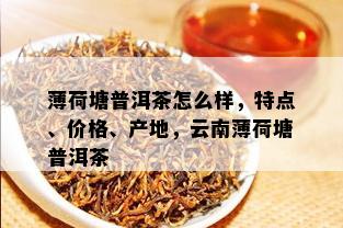 薄荷塘普洱茶怎么样，特点、价格、产地，云南薄荷塘普洱茶