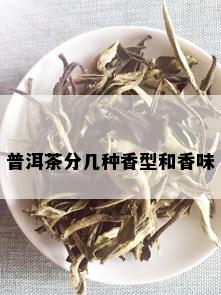 普洱茶分几种香型和香味