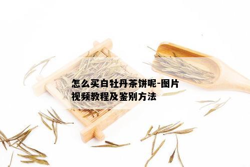 怎么买白牡丹茶饼呢-图片视频教程及鉴别方法