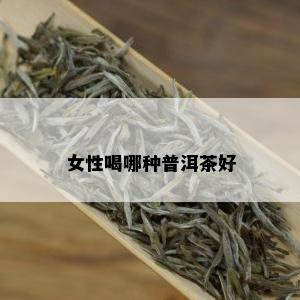 女性喝哪种普洱茶好