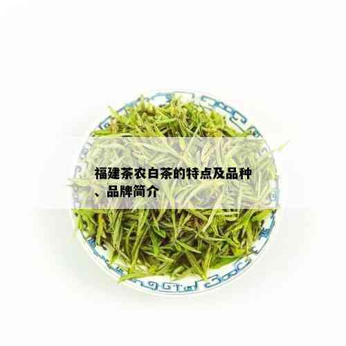 福建茶农白茶的特点及品种、品牌简介