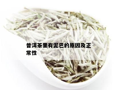 普洱茶里有泥巴的原因及正常性