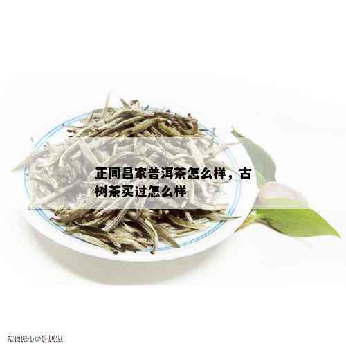 正同昌家普洱茶怎么样，古树茶买过怎么样