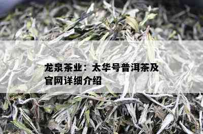 龙泉茶业：太华号普洱茶及官网详细介绍