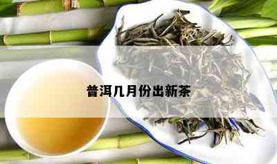 普洱几月份出新茶