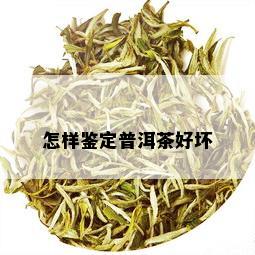 怎样鉴定普洱茶好坏