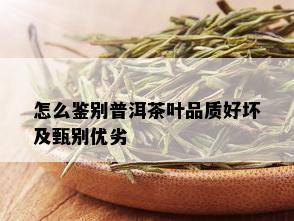 怎么鉴别普洱茶叶品质好坏及甄别优劣