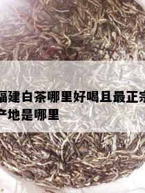 福建白茶哪里好喝且最正宗产地是哪里