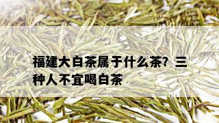 福建大白茶属于什么茶？三种人不宜喝白茶