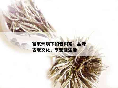 富氧环境下的普洱茶：品味古老文化，享受健生活