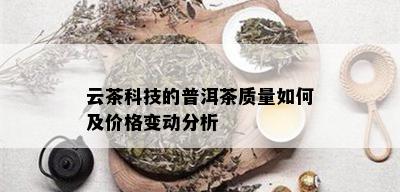 云茶科技的普洱茶质量如何及价格变动分析