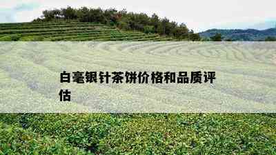 白毫银针茶饼价格和品质评估