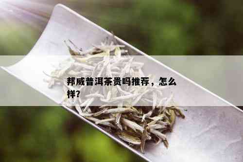 邦威普洱茶贵吗推荐，怎么样？