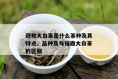 政和大白茶是什么茶种及其特点、品种及与福鼎大白茶的区别