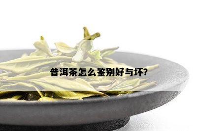 普洱茶怎么鉴别好与坏？