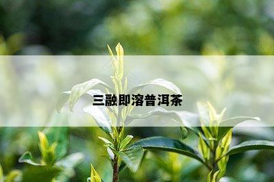 三融即溶普洱茶