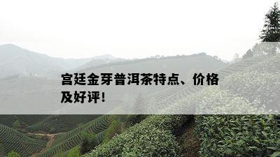 宫廷金芽普洱茶特点、价格及好评！