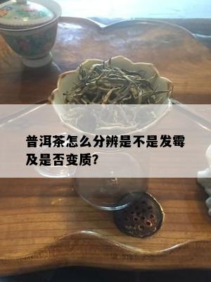 普洱茶怎么分辨是不是发霉及是否变质？