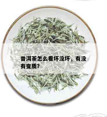 普洱茶怎么看坏没坏，有没有变质？